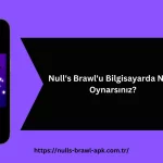 Null's Brawl'u Bilgisayarda Nasıl Oynarsınız?